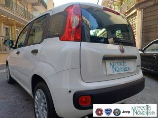 FIAT Panda usata, con Servosterzo