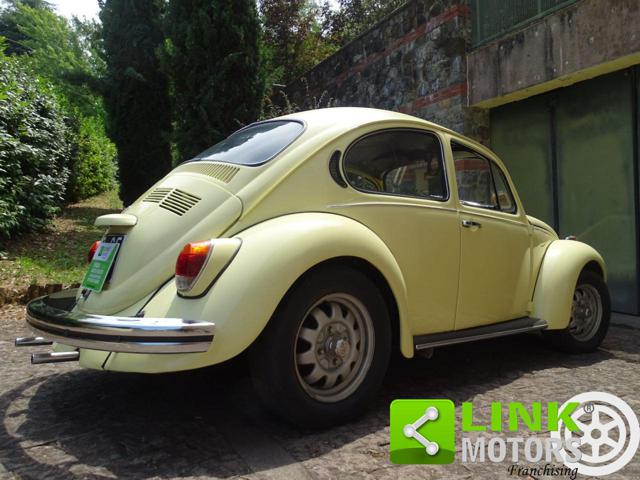 VOLKSWAGEN Maggiolone usata 21