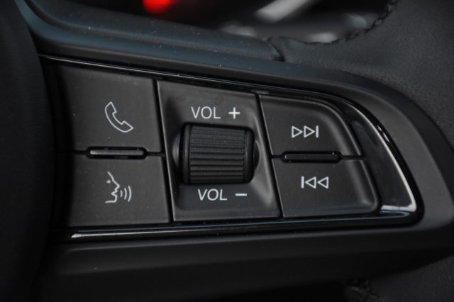 ALFA ROMEO Stelvio usata, con Controllo elettronico della corsia