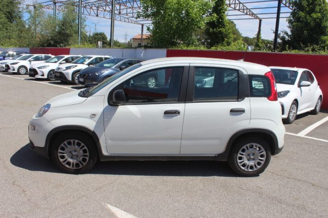 FIAT Panda usata, con Airbag Passeggero