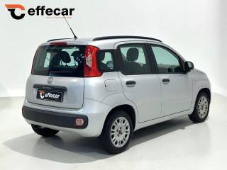 FIAT Panda usata, con Boardcomputer