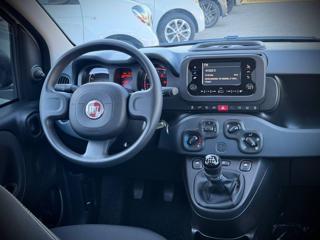 FIAT Panda usata, con Airbag testa