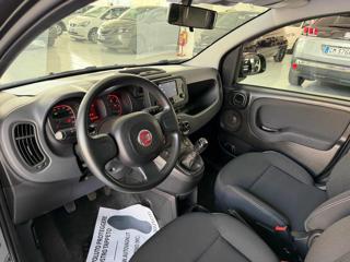 FIAT Panda usata, con Cronologia tagliandi