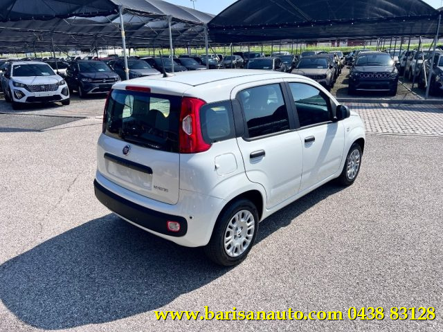 FIAT Panda usata, con Airbag Passeggero