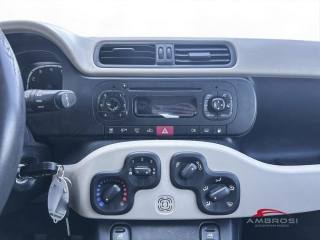 FIAT Panda usata 14