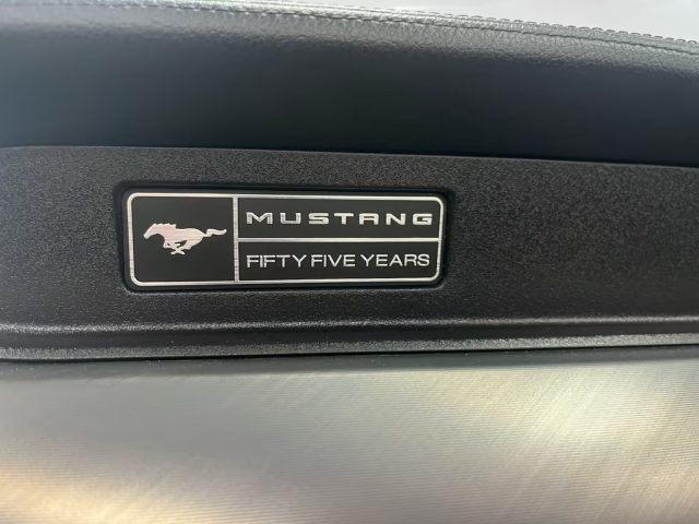 FORD Mustang usata, con Fendinebbia