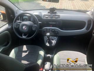 FIAT Panda usata, con Controllo trazione