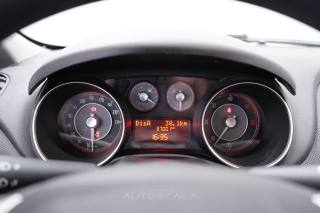 FIAT Punto usata 13