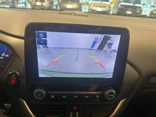 FORD Puma usata, con Fendinebbia