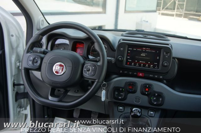 FIAT Panda usata 6