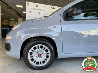FIAT Panda usata 15