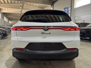 ALFA ROMEO Tonale usata, con Boardcomputer