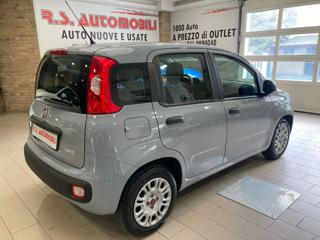 FIAT Panda usata, con Airbag Passeggero