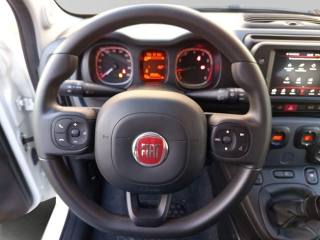 FIAT Panda Cross usata 18