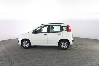 FIAT Panda usata 5