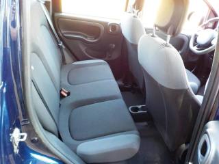 FIAT Panda usata, con Airbag testa