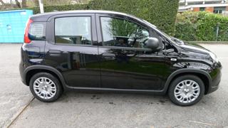 FIAT Panda usata, con Chiusura centralizzata