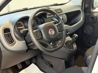 FIAT Panda usata, con Immobilizzatore elettronico