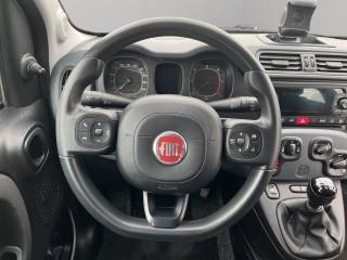 FIAT Panda usata 10