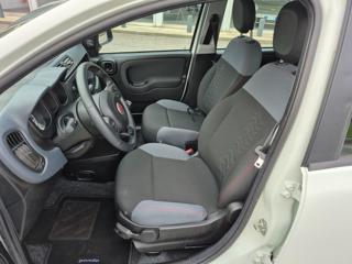 FIAT Panda usata, con Alzacristalli elettrici