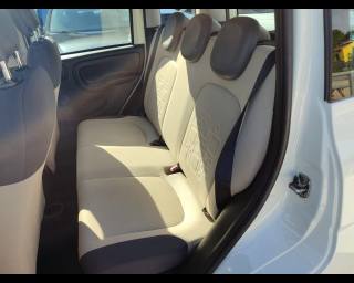 FIAT Panda usata 10