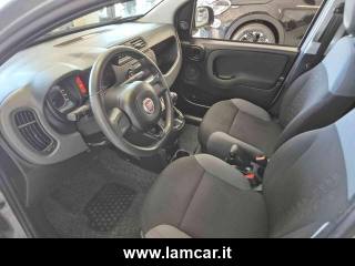 FIAT Panda usata 14