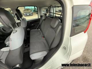 FIAT Panda usata 12