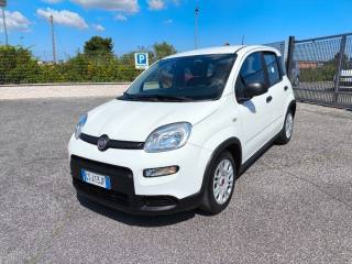 FIAT Panda usata 2