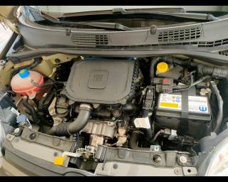 FIAT New Panda usata 18