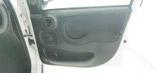 FIAT Panda usata 47