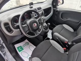 FIAT Panda usata, con Alzacristalli elettrici