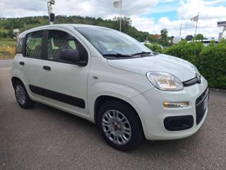 FIAT Panda 1.2 Easy *GARANTITA*