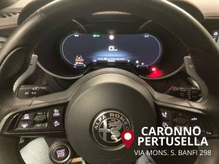 ALFA ROMEO Stelvio usata, con Cruise Control