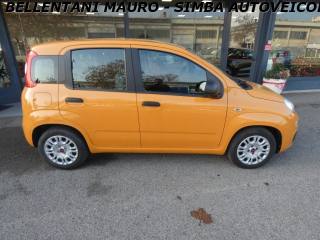 FIAT Panda usata, con ESP