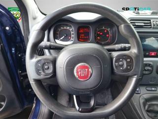 FIAT Panda Cross usata, con ESP