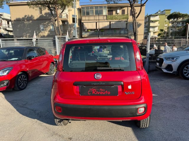 FIAT Panda usata, con Antifurto