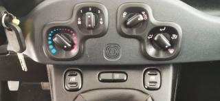 FIAT Panda Cross usata, con Immobilizzatore elettronico