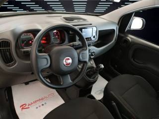 FIAT Panda usata 13