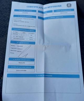 OPEL Crossland X usata 19