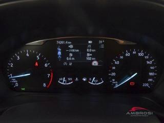 FORD Puma usata 12