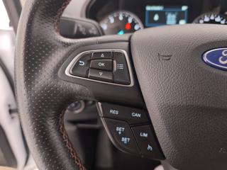 FORD EcoSport usata, con Fendinebbia
