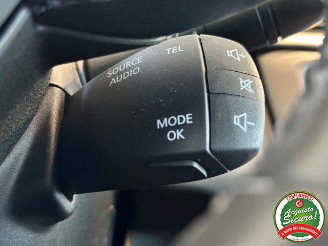 RENAULT Kadjar usata, con Vetri oscurati