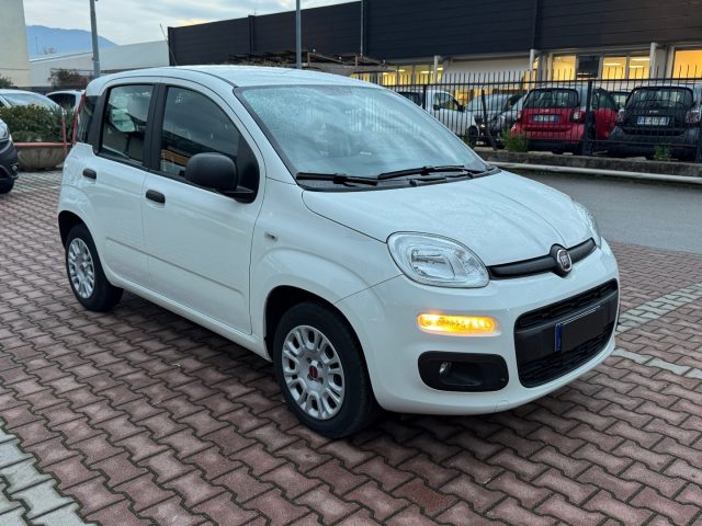 FIAT New Panda usata, con Alzacristalli elettrici