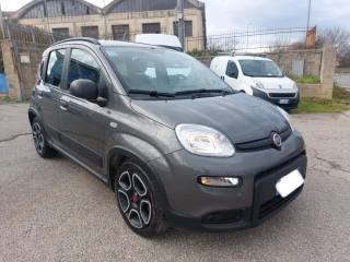 FIAT Panda usata, con Airbag Passeggero