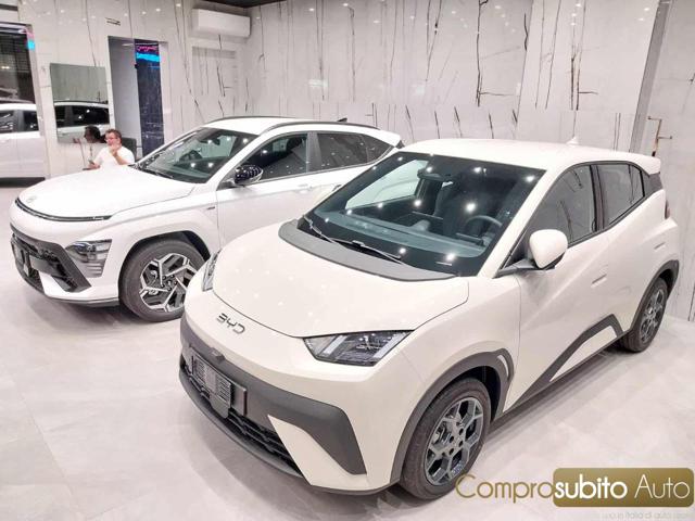 BYD Dolphin usata, con Airbag laterali