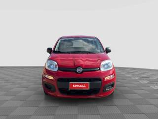 FIAT Panda usata 7