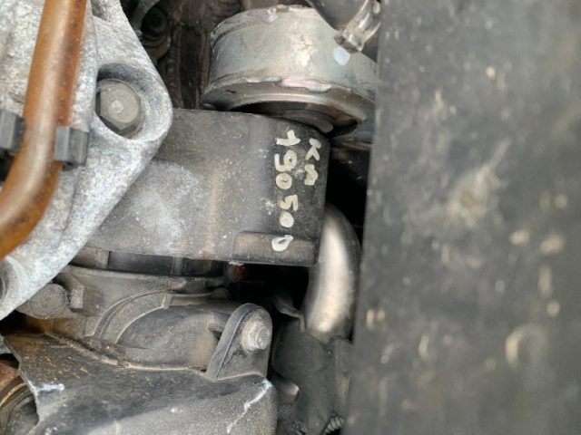 RENAULT Scenic usata, con Cronologia tagliandi