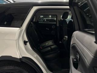 LAND ROVER Range Rover Evoque usata, con Fendinebbia