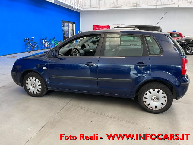 VOLKSWAGEN Polo usata 11