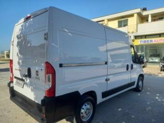 FIAT Ducato usata, con Cruise Control
